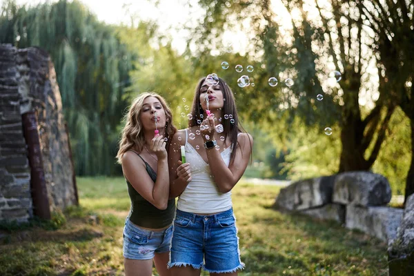 Deux Sœurs Soufflant Des Bulles Savon Dans Parc Jeunes Jolies — Photo