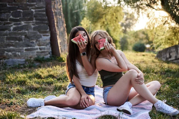 Zwei Schwestern Die Sommer Stadtpark Picknicken Hübsche Junge Mädchen Beste — Stockfoto