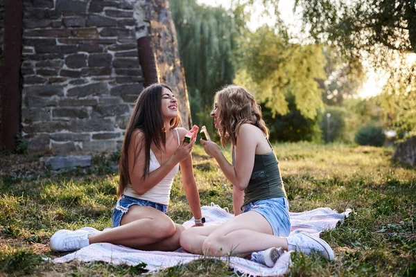 Zwei Schwestern Die Sommer Stadtpark Picknicken Hübsche Junge Mädchen Beste — Stockfoto