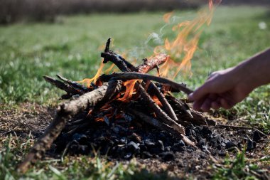 Ternopil / Ukrayna-Apr 04 2020: Kuru dallardan yapılmış şenlik ateşinin yakın plan resmi, yazın güneşli havalarda dışarıda yeşil çimlerin üzerinde. Elin, ahşap sopayı tutuyor. Ormandaki şömineyi tamir etmek.