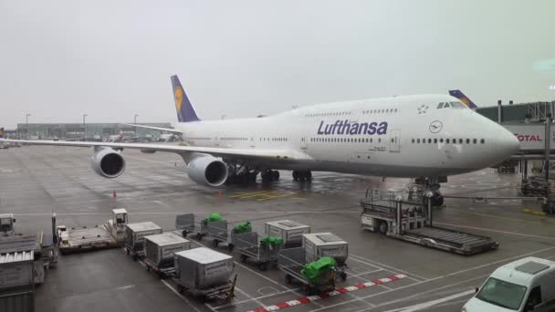 Frankfurt Tyskland December 2019 Lufthansas Flygfält Frankfurts Flygplats Kommersiella Flygplan — Stockvideo