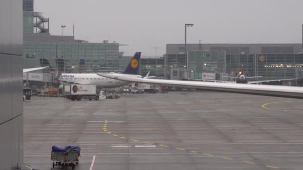 Frankfurt Nad Menem Niemcy Grudzień 2019 Równina Lotnicza Lufthansy Lotnisku — Wideo stockowe