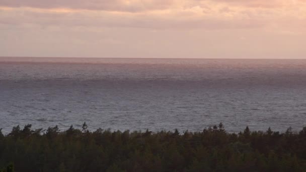 Vue Panoramique Mer Tourbillonnante Sur Forêt Pins Avec Ciel Brûlant — Video