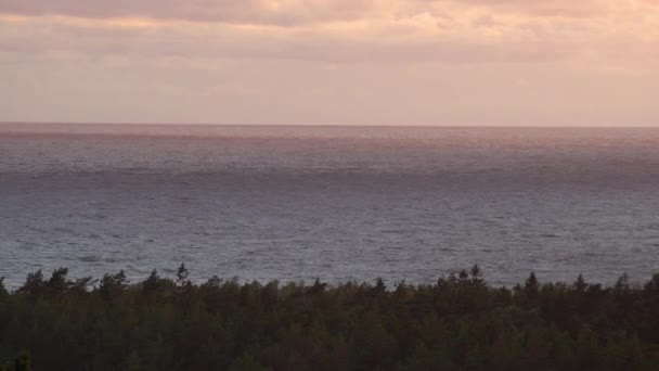 Vista Panoramica Del Mare Vorticoso Sulla Pineta Con Cielo Cocente — Video Stock