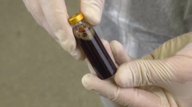 Close up of scientist holding bottle of vaccine developed for corona virus. Covid-19 antidote. Doctor discovers treatment for epidemic disease. Global pandemic