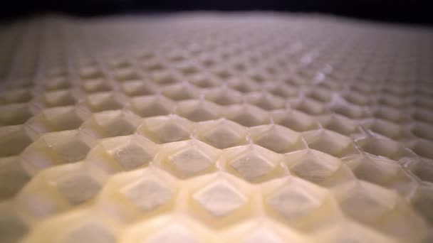 蜂窝蜡的广角微射 蜂蜜梳六边形图案的抽象视图 — 图库视频影像