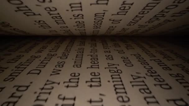 Dolly Shot Camera Sliding Book Letters Lateinische Buchstaben Und Wörter — Stockvideo
