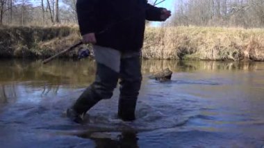 Güneşli bir günde, bir derede lastik botlarıyla alabalık avlayan balıkçı. Angler nehre yapay yem atıyor.