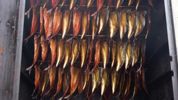 吸烟的鱼片在一个吸烟的人身上肩并肩地挂着 鱼类市场上出售的冷熏鲭鱼片 — 图库视频影像