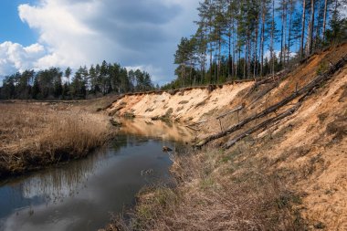 Güneşli bir günde vahşi ormandaki dereyi daralt. Nehir dönüyor ve kuma maruz kalıyor. Baharda alabalık avlama gezisi, kimse yok.