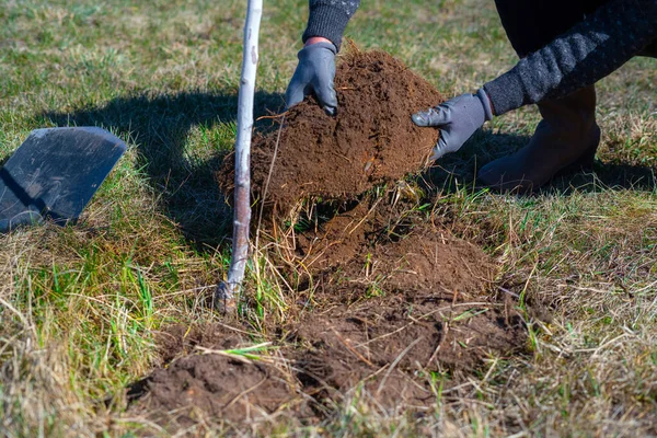 Der Mensch Gräbt Gras Und Kehrt Dreck Boden Rund Die — Stockfoto