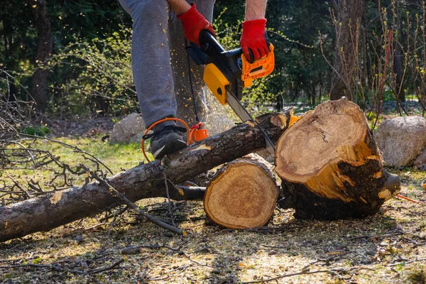 Pria Menggergaji Pohon Apel Dengan Gergaji Mesin Halaman Belakang Rumahnya — Stok Foto