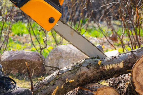 Männer Sägen Mit Der Kettensäge Apfelbaum Seinem Hinterhof Arbeiter Schneiden — Stockfoto