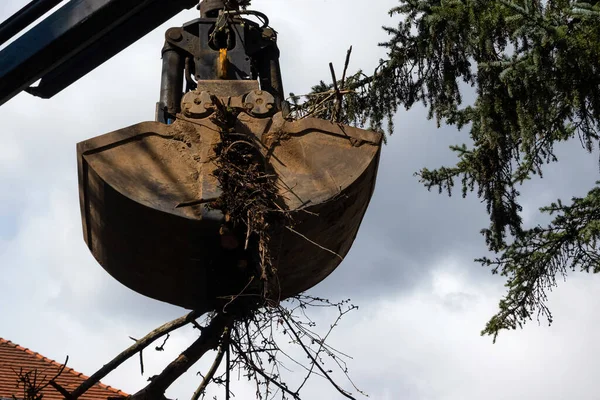 중공업용 기계가 가지와 퍼뜨린다 정원에서 나무와 폐기물을 들어올리는 가마솥 — 스톡 사진