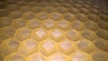Petek balmumu geniş açılı makro çekim. Bal tarak altıgen şekil deseninin soyut görünümü