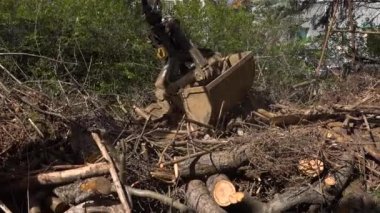 Ağır endüstriyel makine, ahşap dalları ve toprağın pisliklerini topluyor. Hidrolik kürek, bahçeden odun ve atık topluyor.