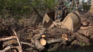 Ağır endüstriyel makine, ahşap dalları ve toprağın pisliklerini topluyor. Hidrolik kürek, bahçeden odun ve atık topluyor.