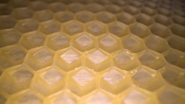 Vidvinkel Makro Skott Honeycomb Vax Abstrakt Syn Honung Kam Hexagon — Stockvideo