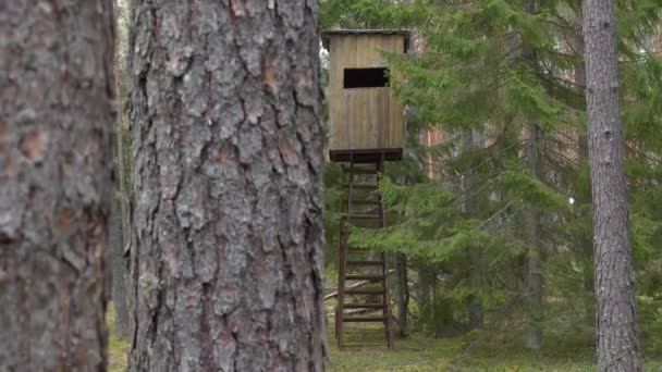 Jägerhütte Wald Jägerturm Oder Wachposten Der Wildnis Erhöhte Holzkonstruktion — Stockvideo