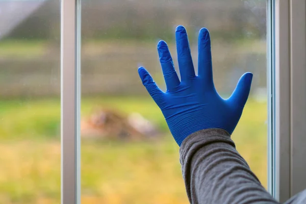 Women Hand Medical Gloves Next Window Indoor Home Isolation Corona — Stock Photo, Image