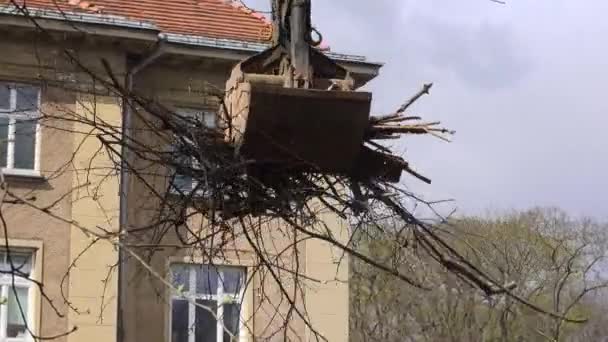 Ciężkie Maszyny Przemysłowe Zgarniają Drewniane Gałęzie Brud Ziemi Łopata Hydrauliczna — Wideo stockowe