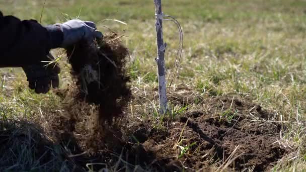 Der Mensch Gräbt Gras Und Kehrt Dreck Boden Rund Die — Stockvideo