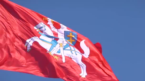 Wolny Ruch Historycznej Litewskiej Flagi Vytis Macha Wietrze Słoneczny Dzień — Wideo stockowe