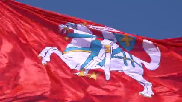 Close Histórica Bandeira Lituana Vytis Acenando Vento Dia Ensolarado Bandeira — Vídeo de Stock