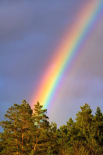 Beautiful Rainbow Spectrum Sky Rain Colourful Phenomena Clouds Nobody — Stock Photo, Image