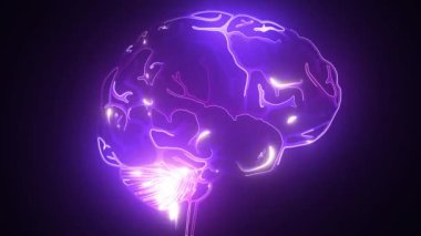 insan beyni lazer animasyon video
