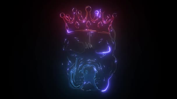 王冠の中のピッツブルデジタルビデオ — ストック動画