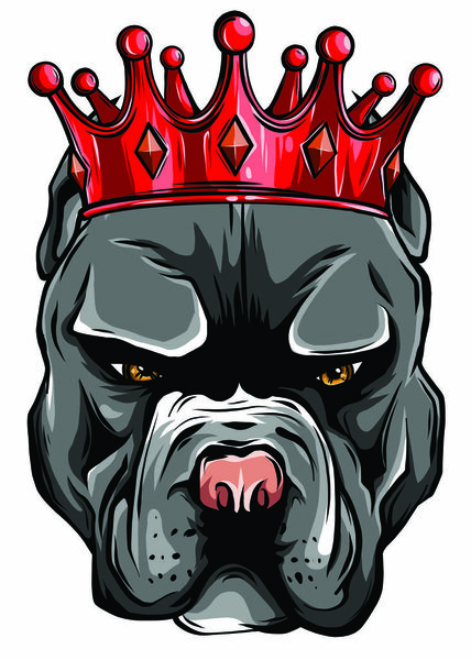 Pitbull in the crown on white background. Vector illustration.