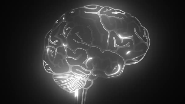 Renkli beyin, elle çizilmiş beyin, zihin konsepti animasyonu — Stok video