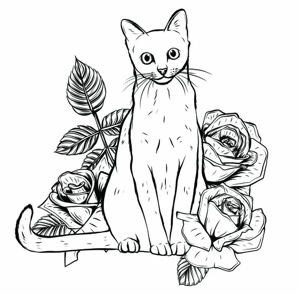 Ręcznie rysowane atrament doodle kot i kwiaty na białym tle. — Wektor stockowy