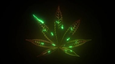 Yeşil Marihuana Yaprak Logosu videosu