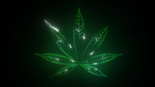 Cannabis Marihuana Leuchtreklame auf dunklem Hintergrund. T-Shirt-Design mit grünem Glühen-Emblem Video. — Stockvideo