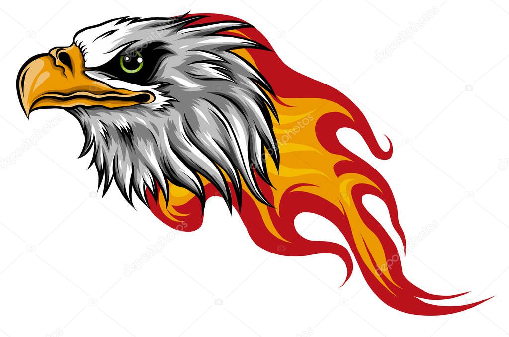 Eagle Head with Flames vector illustration design
