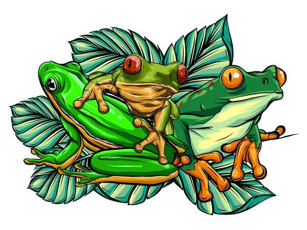 Grüner Frosch in unterschiedlicher Pose. Vektorillustration. — Stockvektor