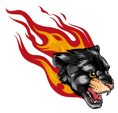 Alevlerle kükreyen dağ aslanı başı vahşi hayvan vektörüne saldırıyor.