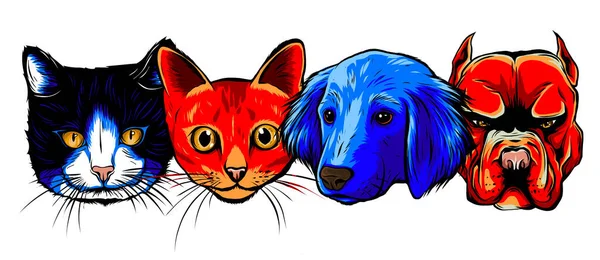 Illustration of best friends ever - Cat and Dog vector — Stock Vector