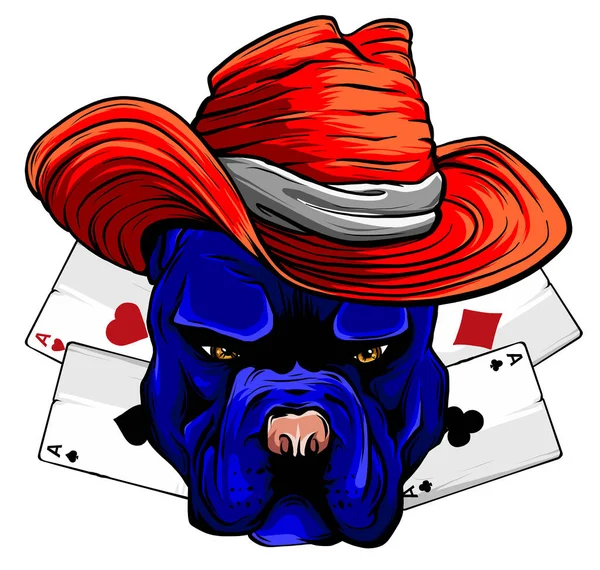 Bulldog Head Hat poker ace vector illustration — ストックベクタ