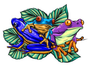Frog cartoon tropical animal cartoon nature icon funny and isolated mascot character wild funny forest toad amphibian illustration. clipart