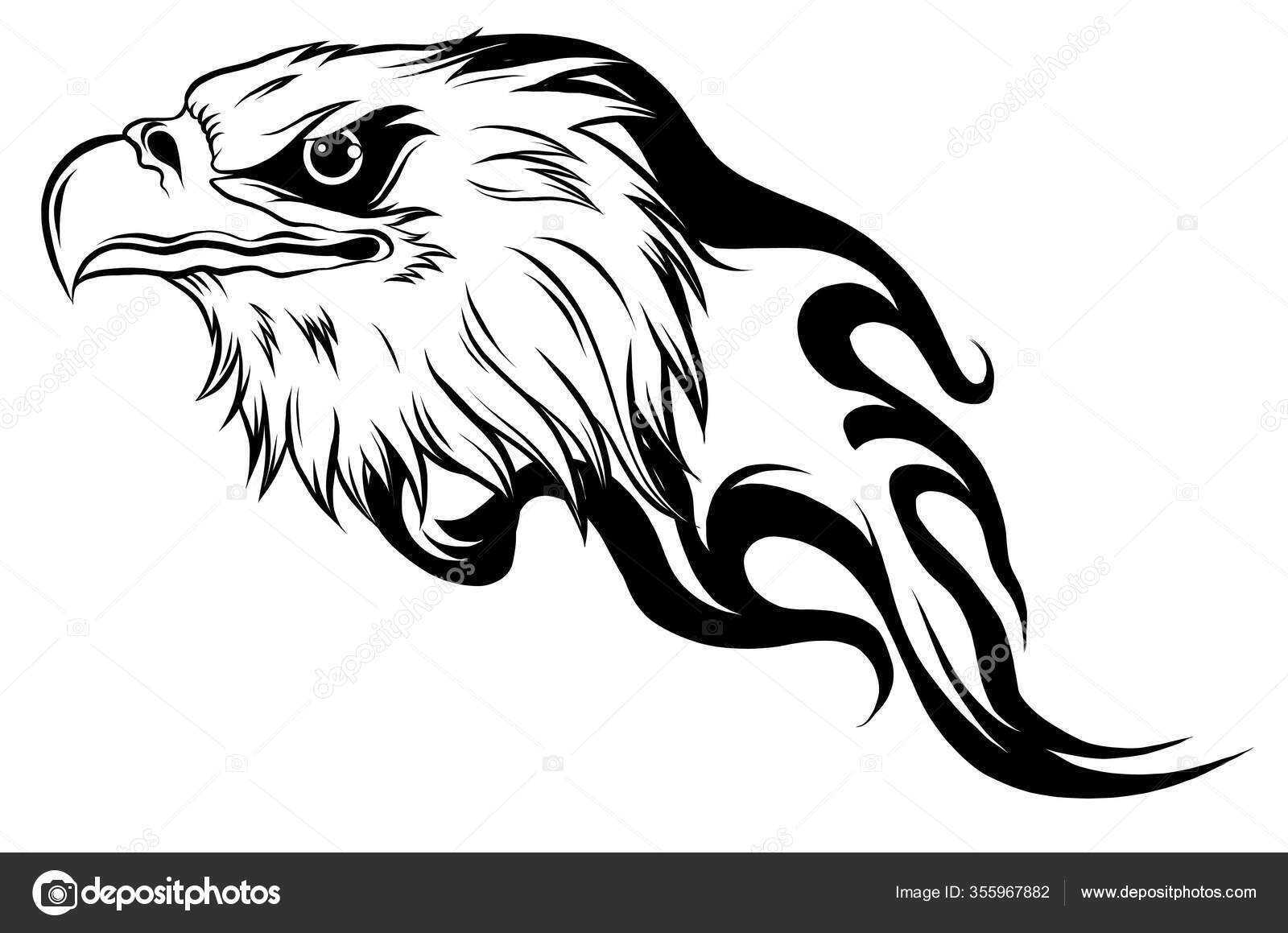 Eagle head in outline style. vector illustration Stock Vector by  ©deanzangir@gmail.com 355967882, image size:1600x1159