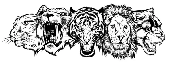 Головы диких животных установлены. Lion, Tiger, Jaguar, Lynx - дизайн логотипа векторного талисмана — стоковый вектор