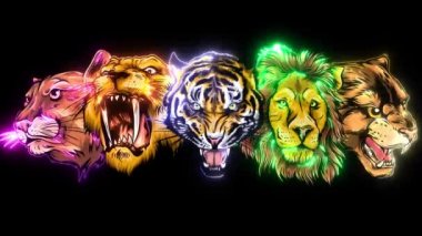 Wild Animals Heads Set. Aslan, Kaplan, Jaguar, Vaşak videosu