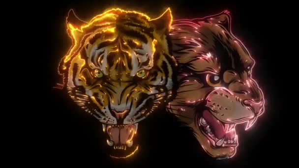 Объединённые лица льва и тигра. видео — стоковое видео