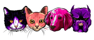 Kusursuz karalama köpekleri ve kediler renkli bir arka plan vektörüyle karşı karşıya