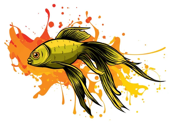 Un carassius Goldenfish en aquarium illustration vectorielle — Image vectorielle