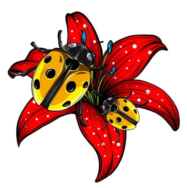 Ladybugs in the garden red vector illustration — Stock Vector