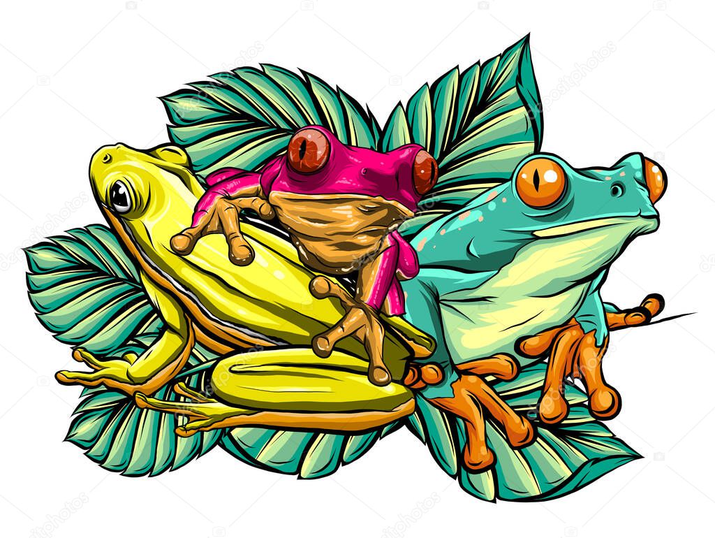 Various Frogs Cartoon Vector Illustration
